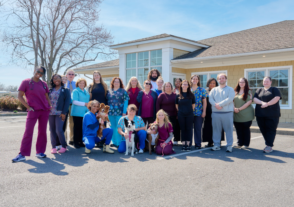The team at Armistead Avenue Veterinary Hospital posing for a group photo in front of their animal hospital